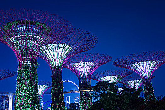 花园,湾,夜晚,新加坡,亚洲