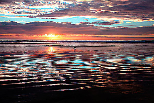 日落,上方,海洋,加利福尼亚,美国