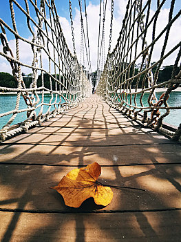 吊桥上的落叶