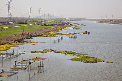 田鱼池图片