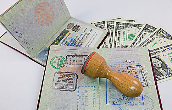 签证,护照,联邦,共和国,德国,美元
