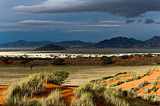 向外看,上方,纳米比亚,大草原