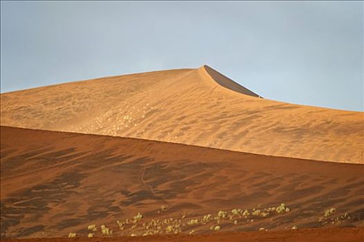 沙丘,早晨,开灯,道路,死亡谷,纳米布沙漠,纳米比亚,非洲