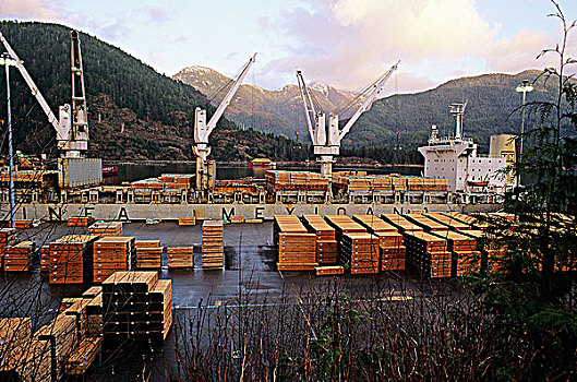 木材,出口贸易,温哥华岛,不列颠哥伦比亚省,加拿大