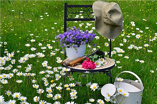 椅子,草地,花