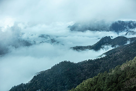 神农架,神农顶,风景,景点,旅游,高山,瀑布,河流,神秘,树木,植被,石头,鄂西,云海,峡谷,壮观