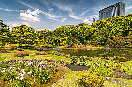 花园,公园,皇宫,东京,日本