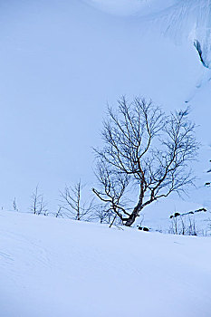 长白山风景区