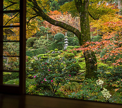 日本,木质,庙宇,秋季