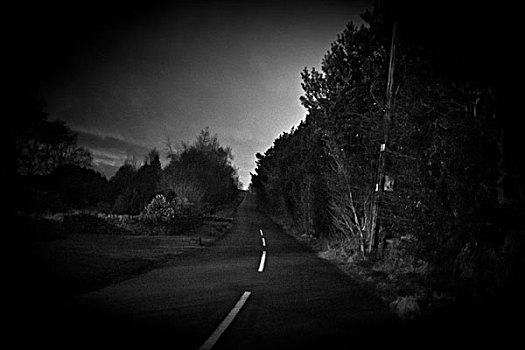 道路,夜晚,白色,线条,电线杆,树,亮光,污染,约克郡,英国
