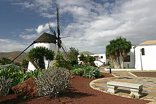 风车,安提瓜岛,富埃特文图拉岛,加纳利群岛