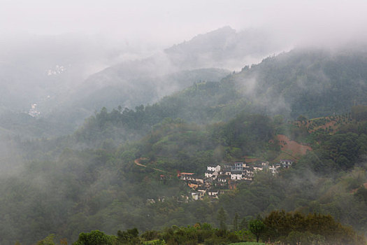 云雾坡山