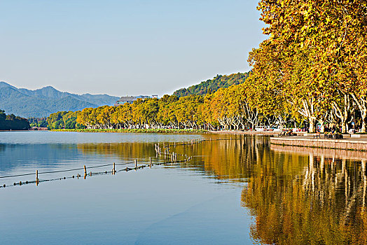 杭州西湖北山街秋景