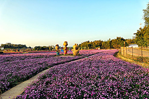 广州从化稻草农业公园风景