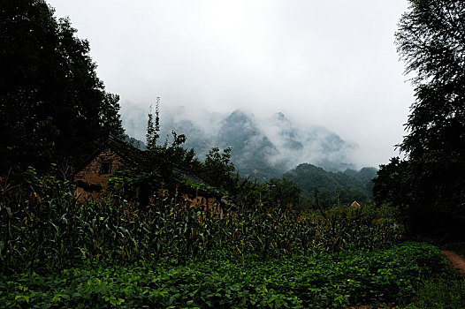 河南洛阳市汝阳县西泰山