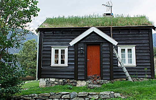 挪威,草,屋顶,房子,山,隔绝,热,能量,传统