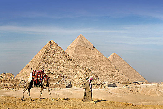 一个,男人,骆驼,走,靠近,金字塔