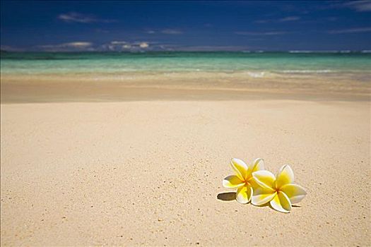 夏威夷,瓦胡岛,两个,休息,沙子,美好,热带沙滩