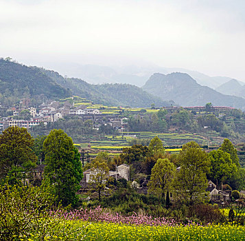 春到山乡