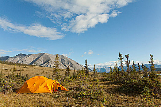 探险,帐蓬,北极,苔原,露营,后面,风,河,育空地区,加拿大