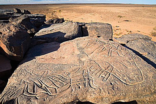 石头,雕刻,利比亚沙漠,利比亚