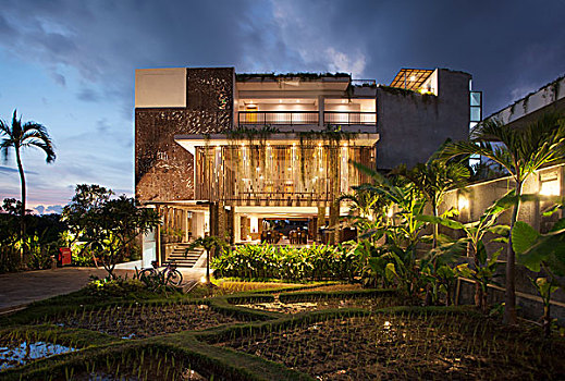 酒店,巴厘岛,外景
