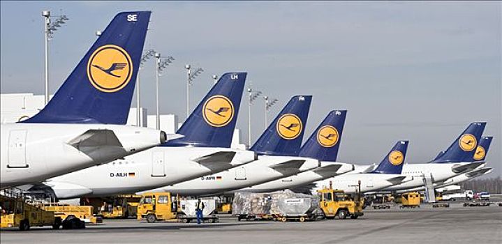 乘客,飞机,德国,航空公司,汉莎航空公司,站立,慕尼黑,机场,巴伐利亚,欧洲
