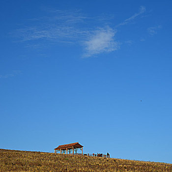 根河湿地