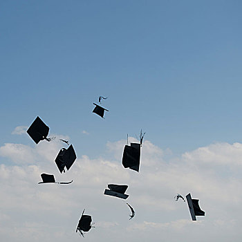 学位帽,空中,毕业