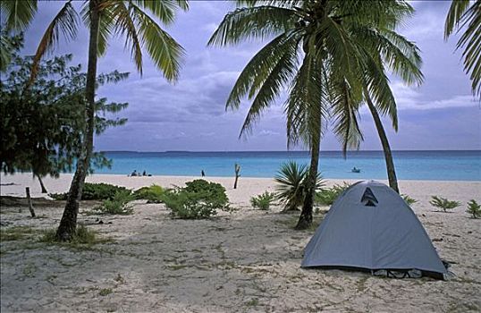 孤单,帐蓬,手掌,海滩,新加勒多尼亚