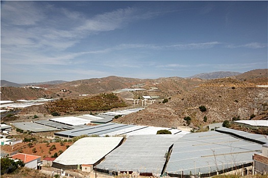 温室,种植园,靠近,艾美利亚,安达卢西亚,西班牙