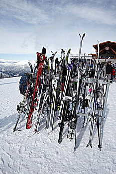 滑雪,架子,上面,惠斯勒山,不列颠哥伦比亚省,加拿大