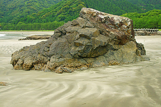 海岸,大分,日本