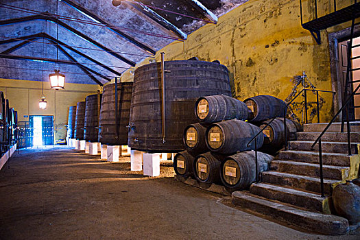 葡萄酒桶,地窖,葡萄酒厂,葡萄牙