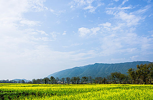 田园风光