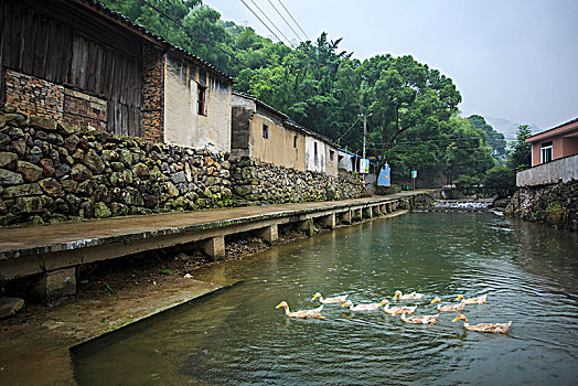 小溪,老房子,山泉,流水