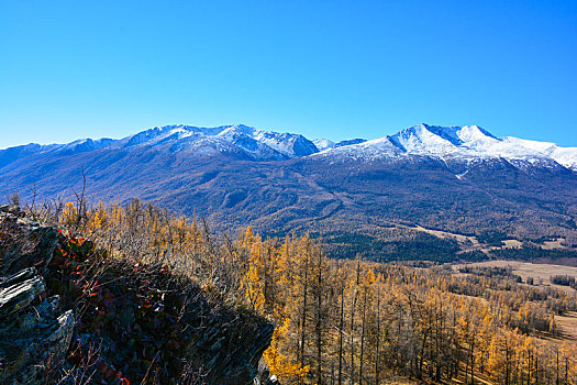 喀纳斯雪山