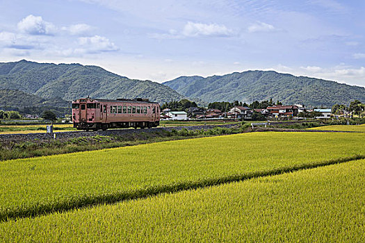 列车,乡村,日本