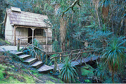沐浴,房子,小屋,国家公园,塔斯马尼亚,澳大利亚