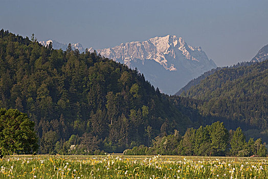 风景,雪,楚格峰,上巴伐利亚,巴伐利亚,德国南部,德国