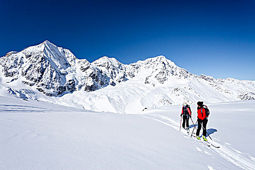 旅游,滑雪者,攀登,山,冬天,背影,省,意大利,欧洲