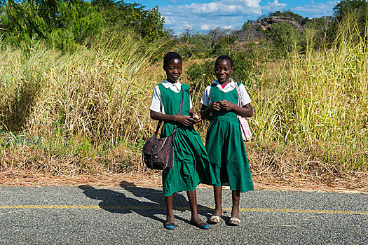 孩子,女学生,道路,家,马拉维,非洲