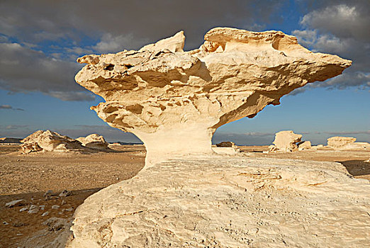 石灰石,排列,白沙漠,费拉菲拉,绿洲,利比亚沙漠,埃及,非洲