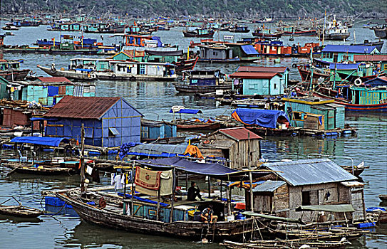 漂浮,乡村,港口,下龙湾,越南,东南亚