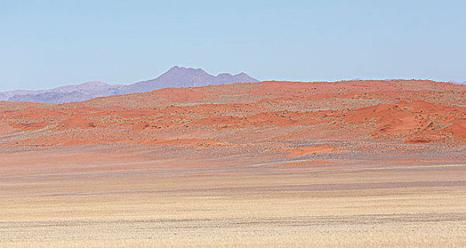 非洲,纳米比亚,纳米布沙漠,橙色,荒漠景观,画廊
