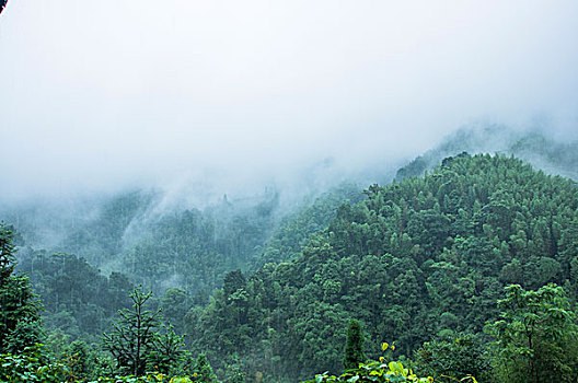 雨雾山景