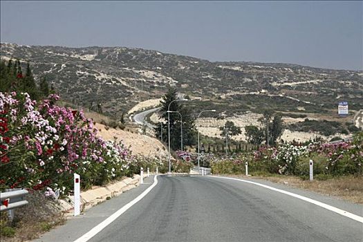 公路,夹竹桃,塞浦路斯,驾驶,左边