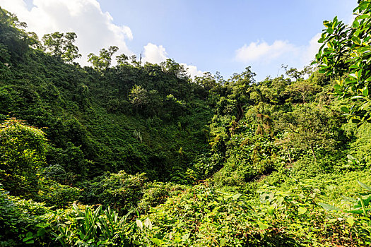 中国海口石山火山群国家地质公园