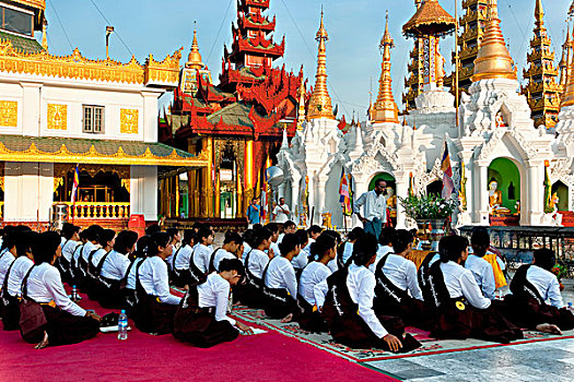 祈祷,大金塔,仰光,缅甸,东南亚,亚洲