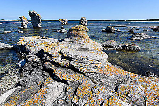 岩石海岸,一堆,区域,法若,哥特兰岛,瑞典,欧洲